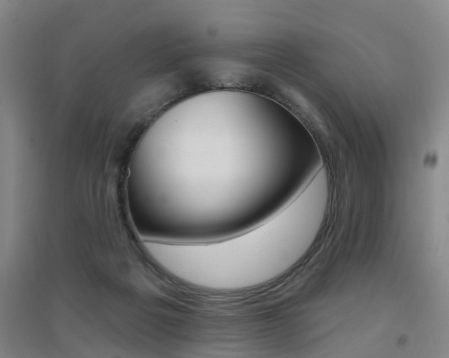 X0000094460217200711081106