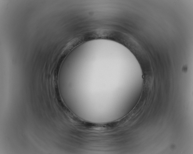 X0000094460220200711081106