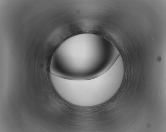 X0000094460221200711081106