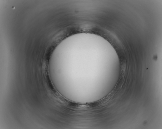 X0000094460222200711081106