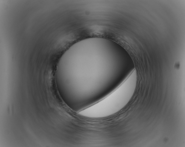 X0000094460223200711081106