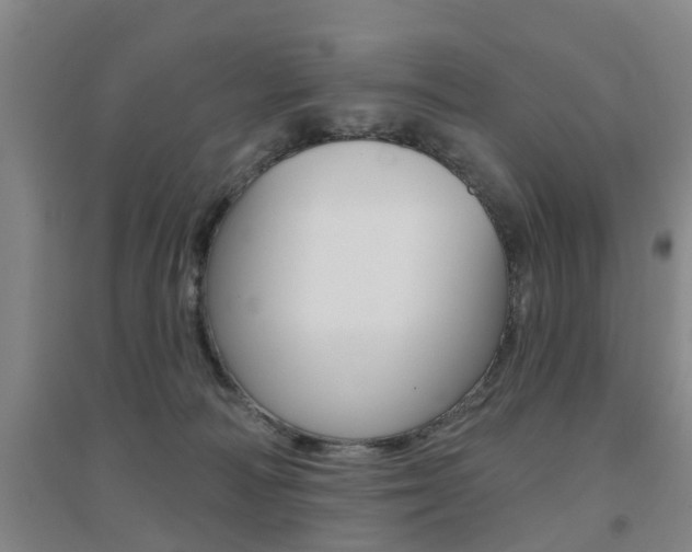 X0000094460226200711081106