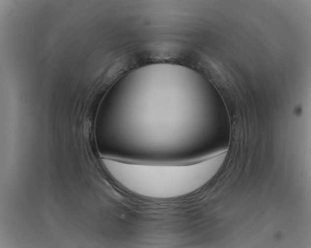 X0000094460227200711081106