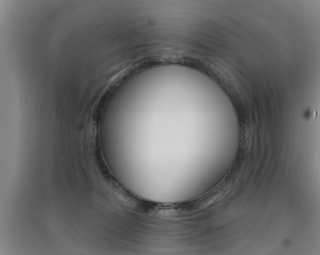 X0000094460228200711081106
