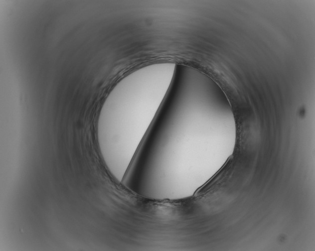 X0000094460229200711081106