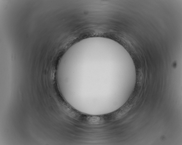 X0000094460230200711081106