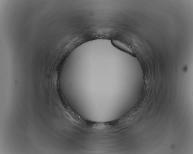 X0000094460231200711081106