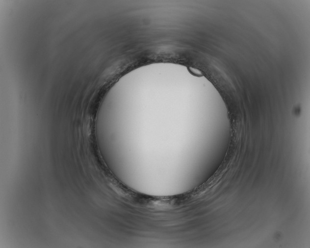 X0000094460232200711081106