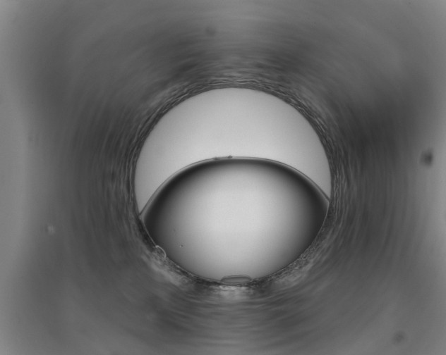 X0000094460233200711081106