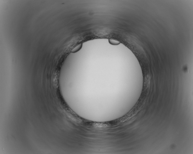 X0000094460234200711081106