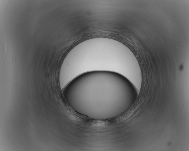X0000094460235200711081106