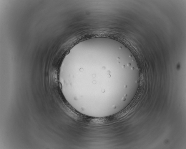X0000094460238200711081106