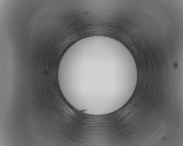 X0000094460239200711081106