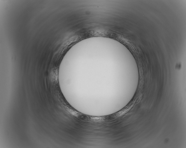 X0000094460240200711081106