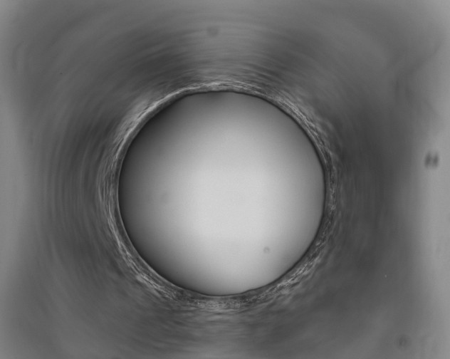 X0000094460241200711081105