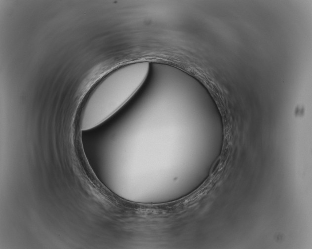 X0000094460242200711081105