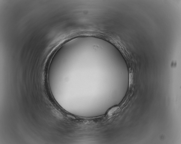 X0000094460243200711081105
