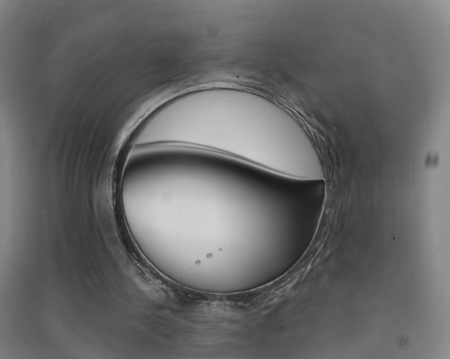 X0000094460244200711081105