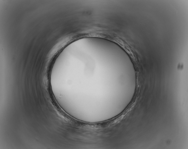 X0000094460245200711081105