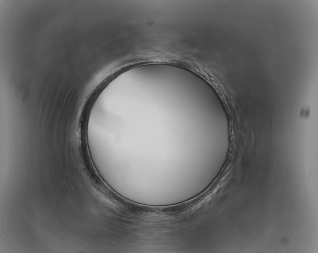 X0000094460246200711081105