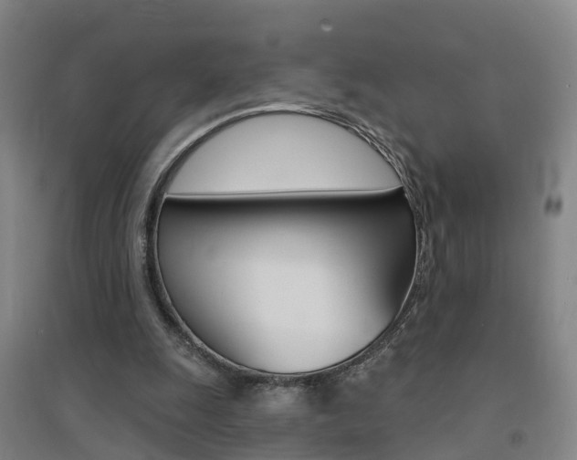 X0000094460247200711081105