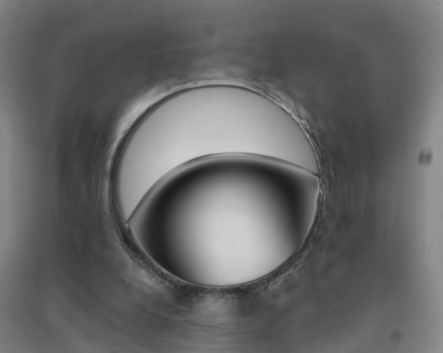 X0000094460248200711081105