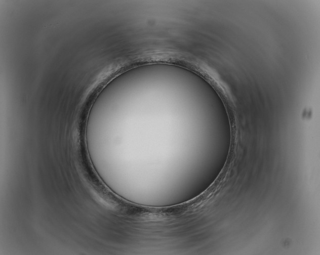 X0000094460250200711081105