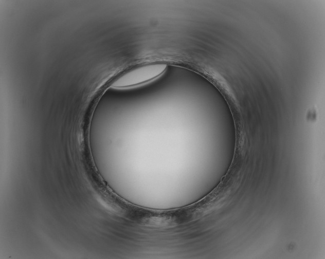 X0000094460251200711081105