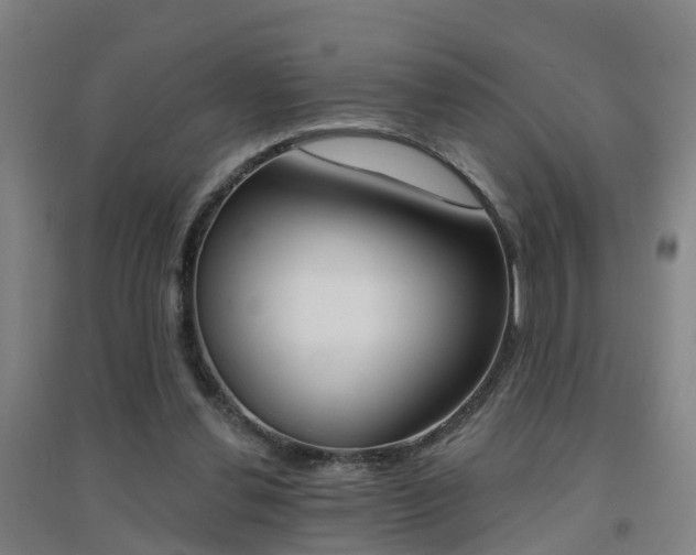 X0000094460252200711081105