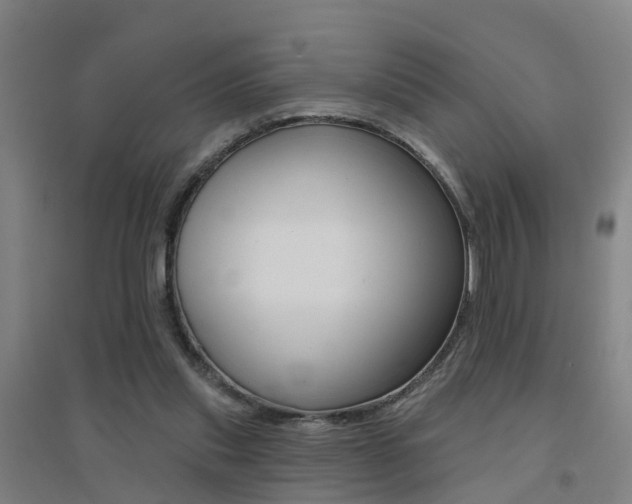 X0000094460253200711081105