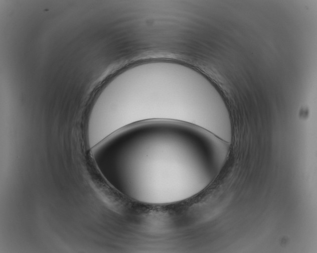 X0000094460256200711081105