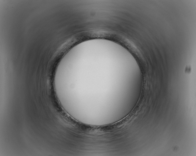 X0000094460258200711081106