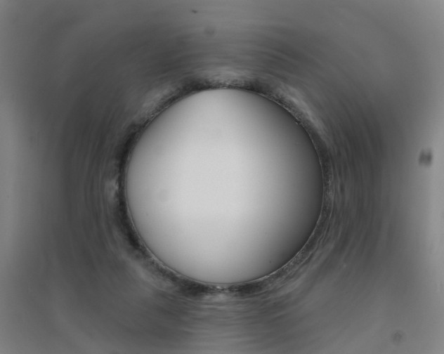 X0000094460259200711081106