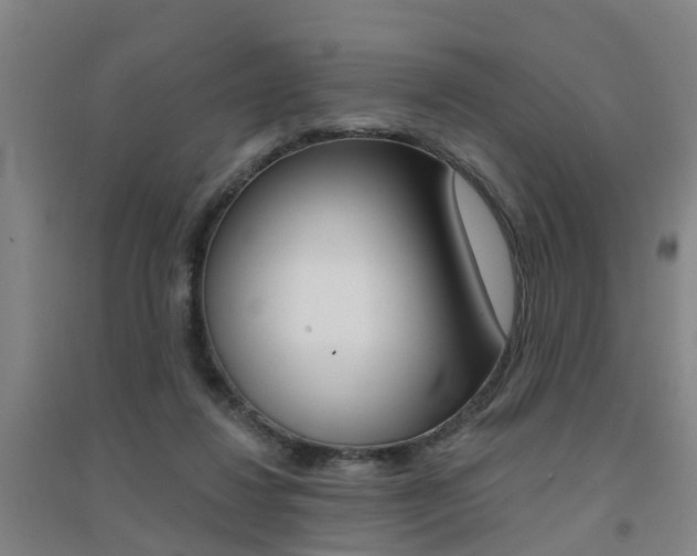 X0000094460260200711081106