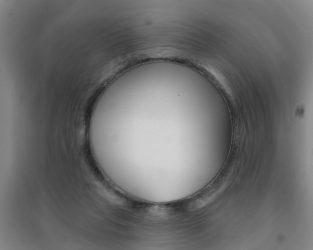 X0000094460261200711081106