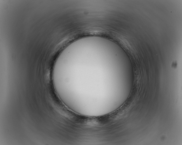 X0000094460262200711081106