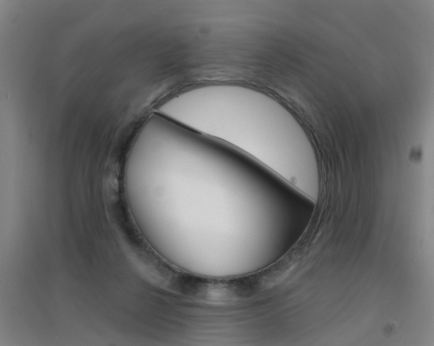 X0000094460264200711081106
