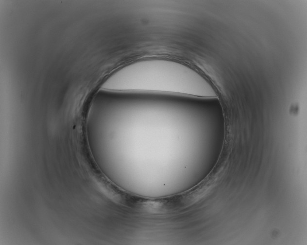 X0000094460265200711081106