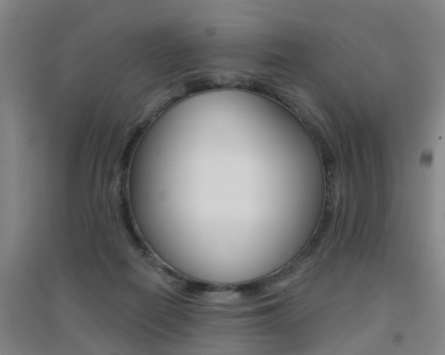X0000094460266200711081106