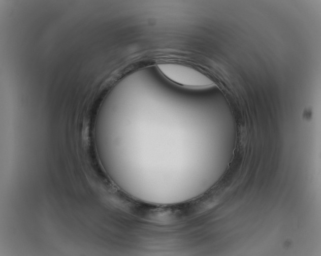 X0000094460267200711081106