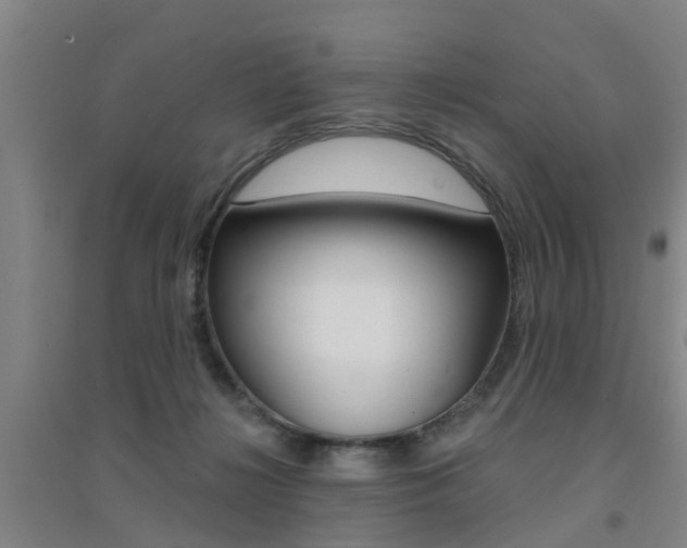 X0000094460268200711081106