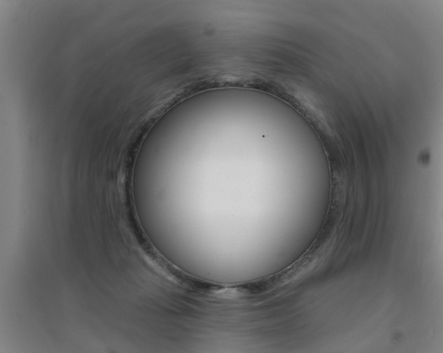 X0000094460269200711081106