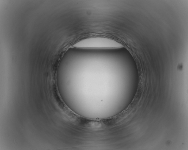 X0000094460272200711081106