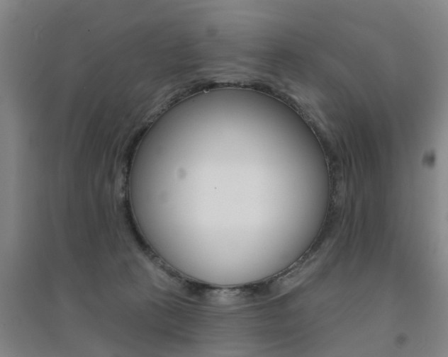 X0000094460273200711081106