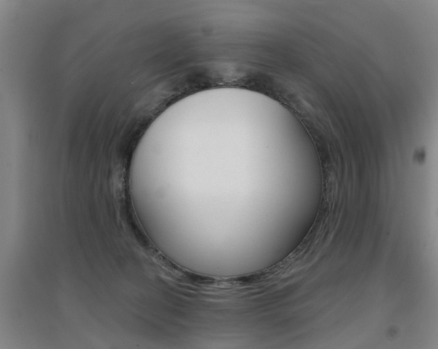 X0000094460274200711081106