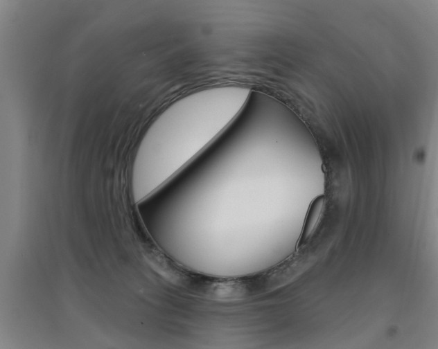 X0000094460275200711081106