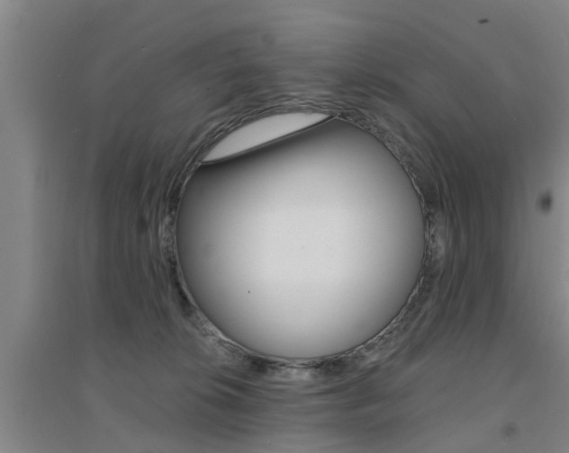 X0000094460276200711081106