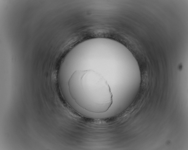 X0000094460278200711081106