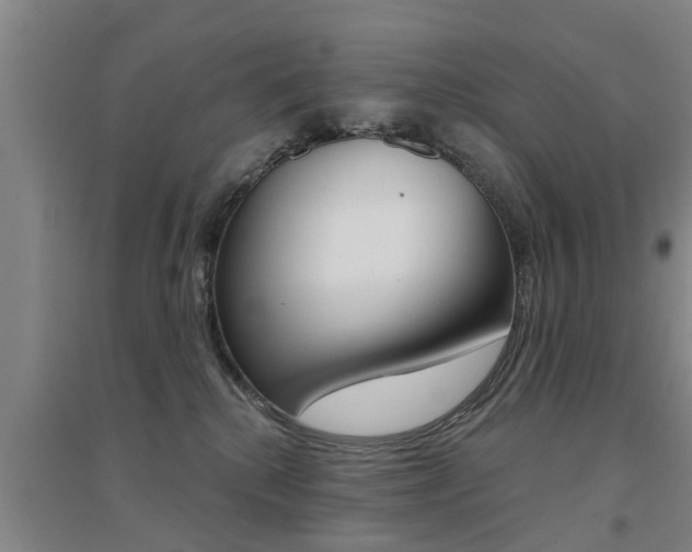 X0000094460280200711081106