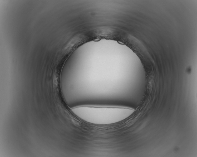 X0000094460282200711081106